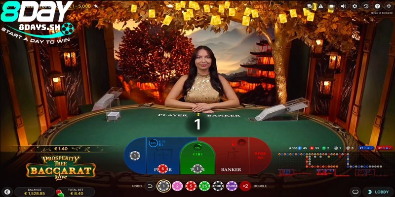 Các cửa cược baccarat 8DAY hoàn trả cực lớn cho thành viên